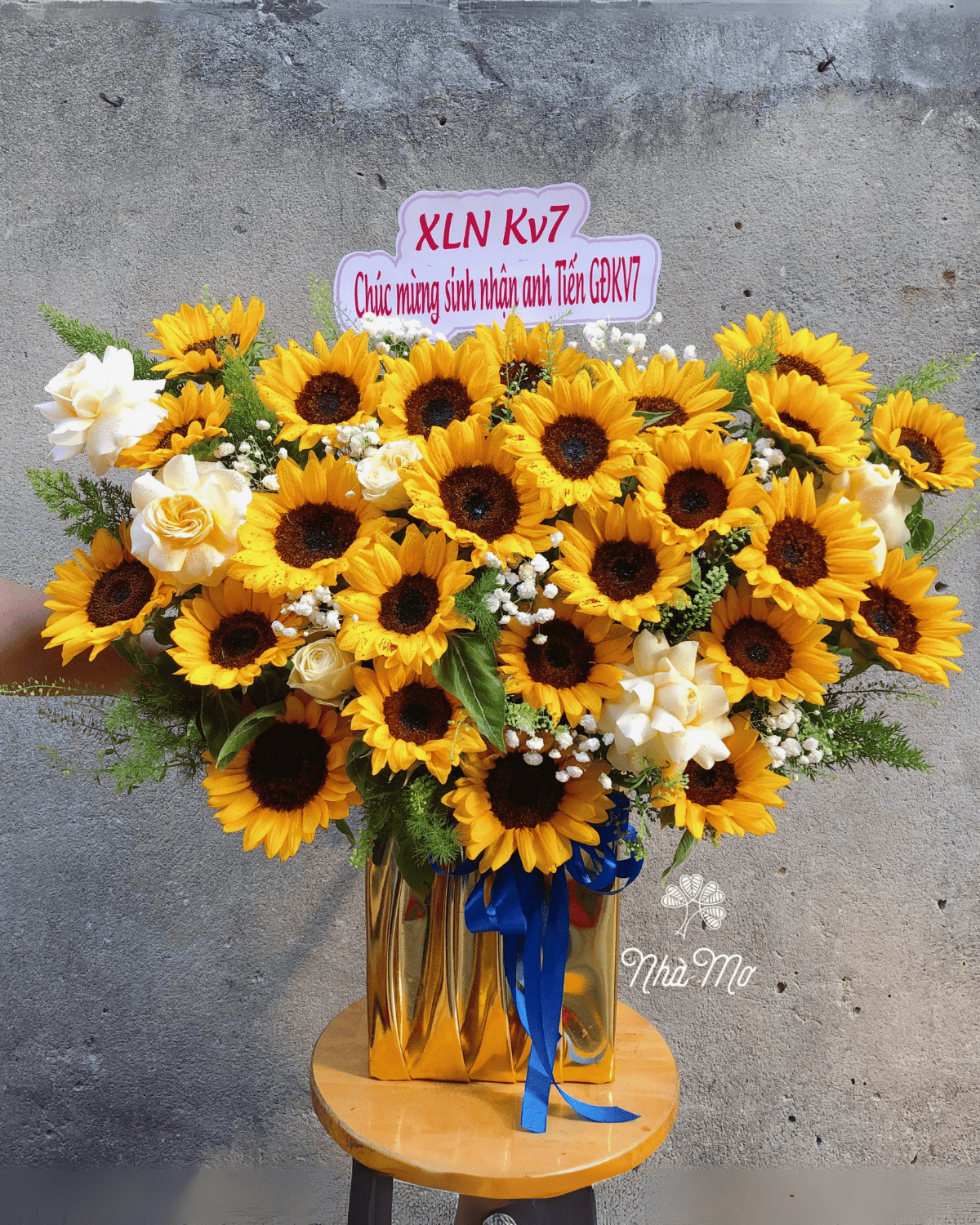 hoakhaitruong11.png