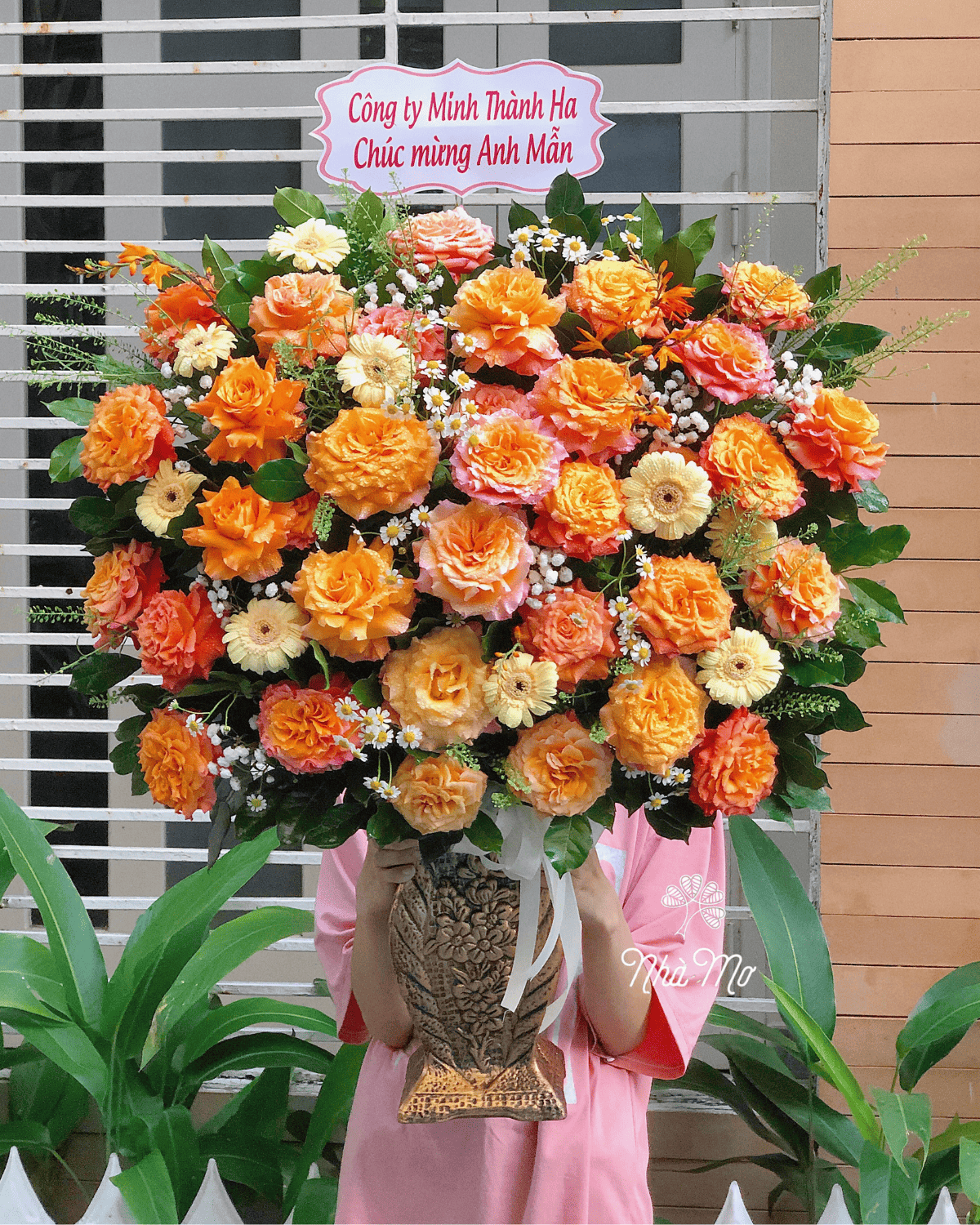hoakhaitruong3.png