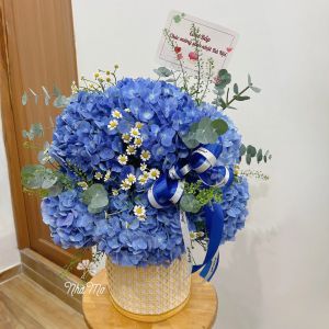 Giỏ hoa Tú cầu mix Tana