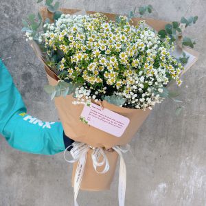 Bó hoa cúc tana mix baby